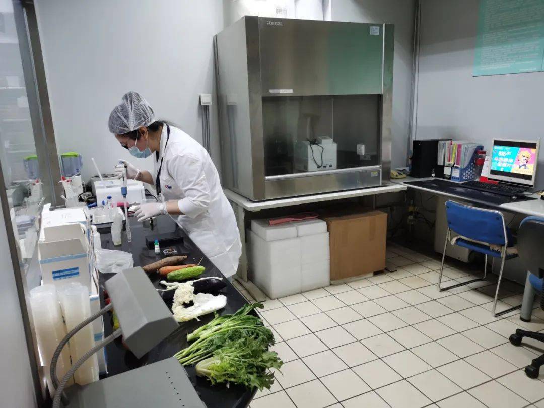 叉河镇食品检测实验室装修方案